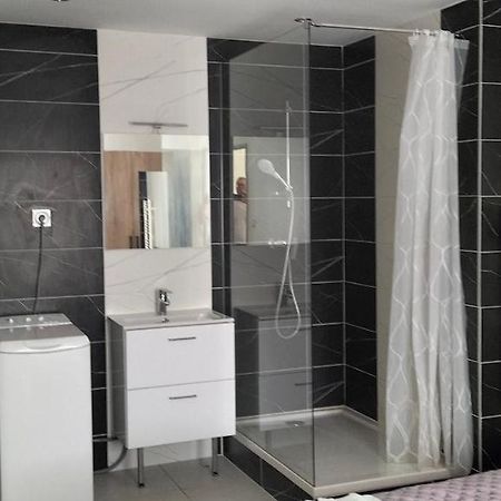 Appartement 2 Pieces Rive-de-Gier المظهر الخارجي الصورة