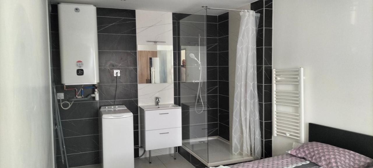 Appartement 2 Pieces Rive-de-Gier المظهر الخارجي الصورة